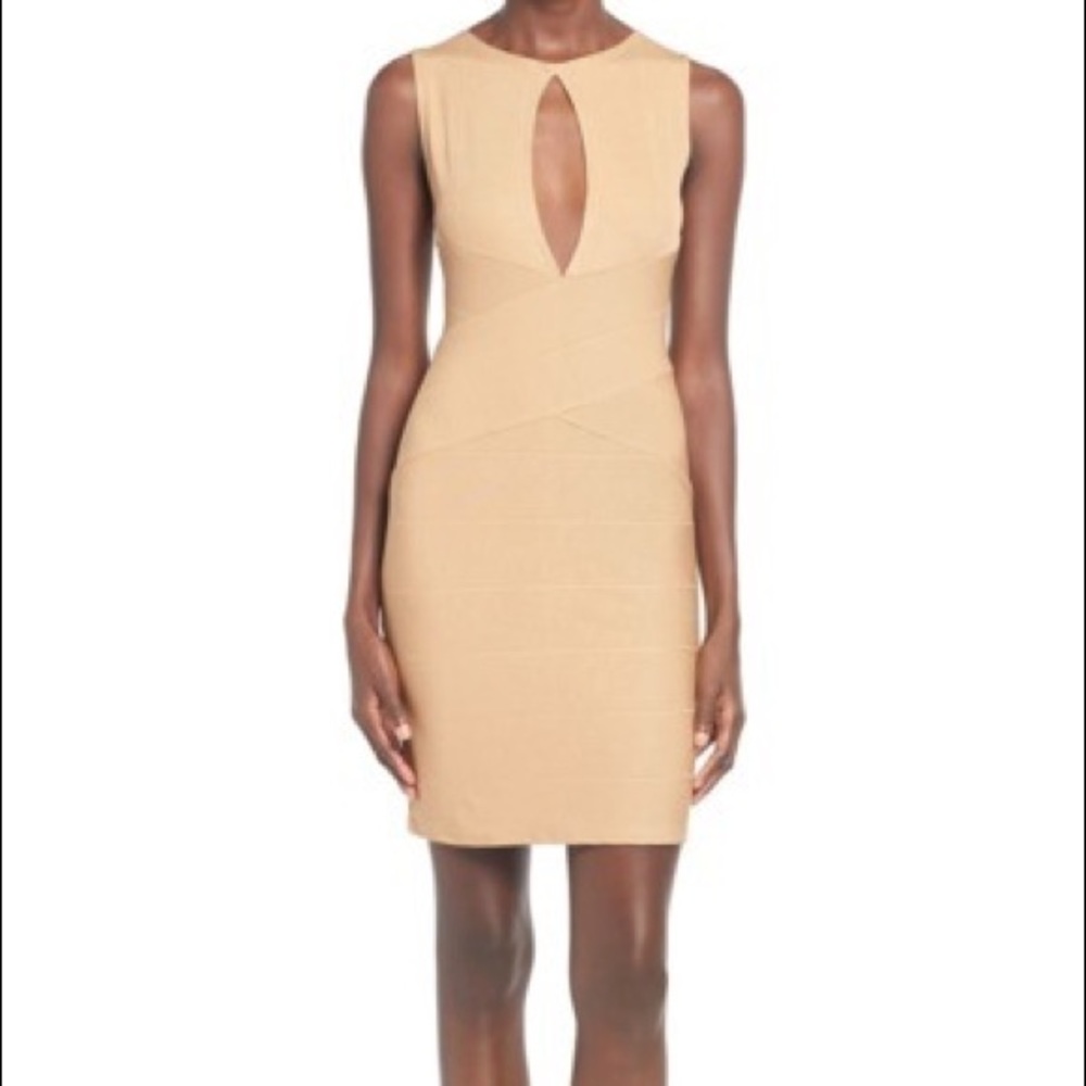 NWT bodycon dress